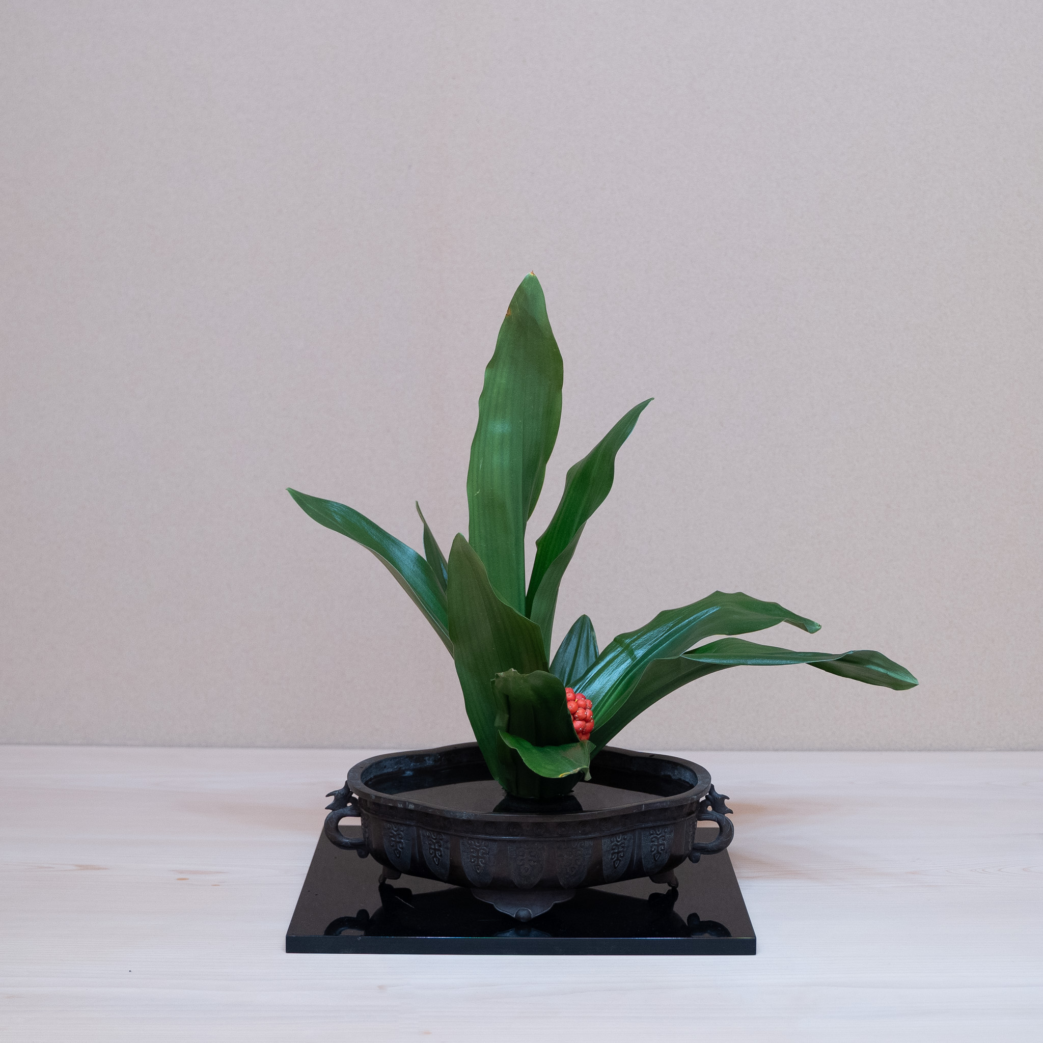 こいつは春から縁起がいいわえ