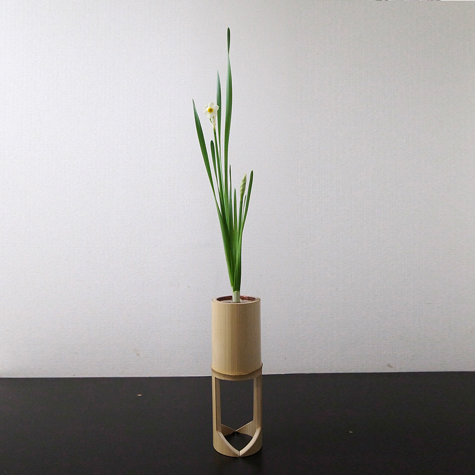 陰の花水仙に限る