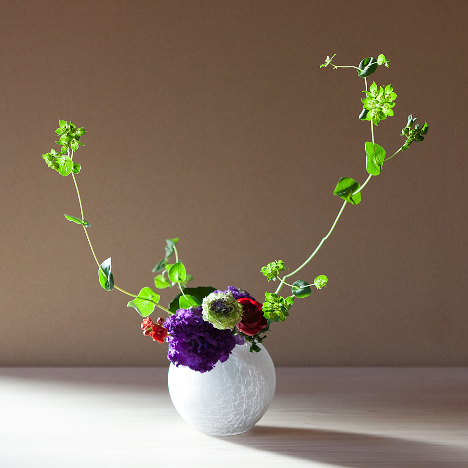 自然光といけばな