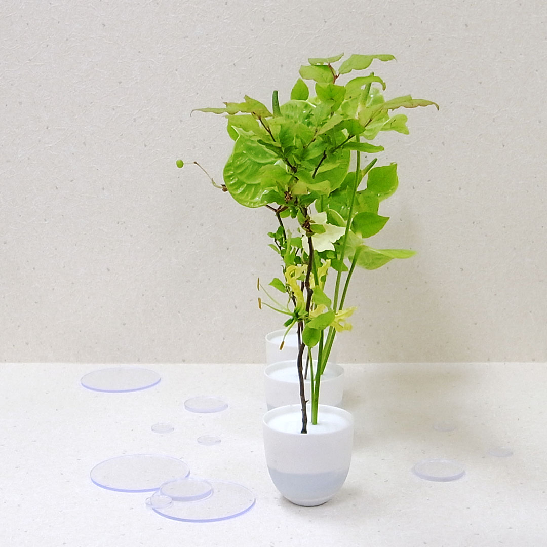 「いけばなの根源池坊展」東京花展