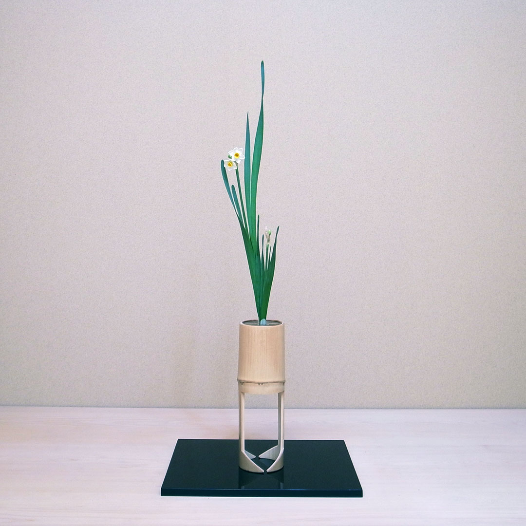 寒中に凛と咲く水仙