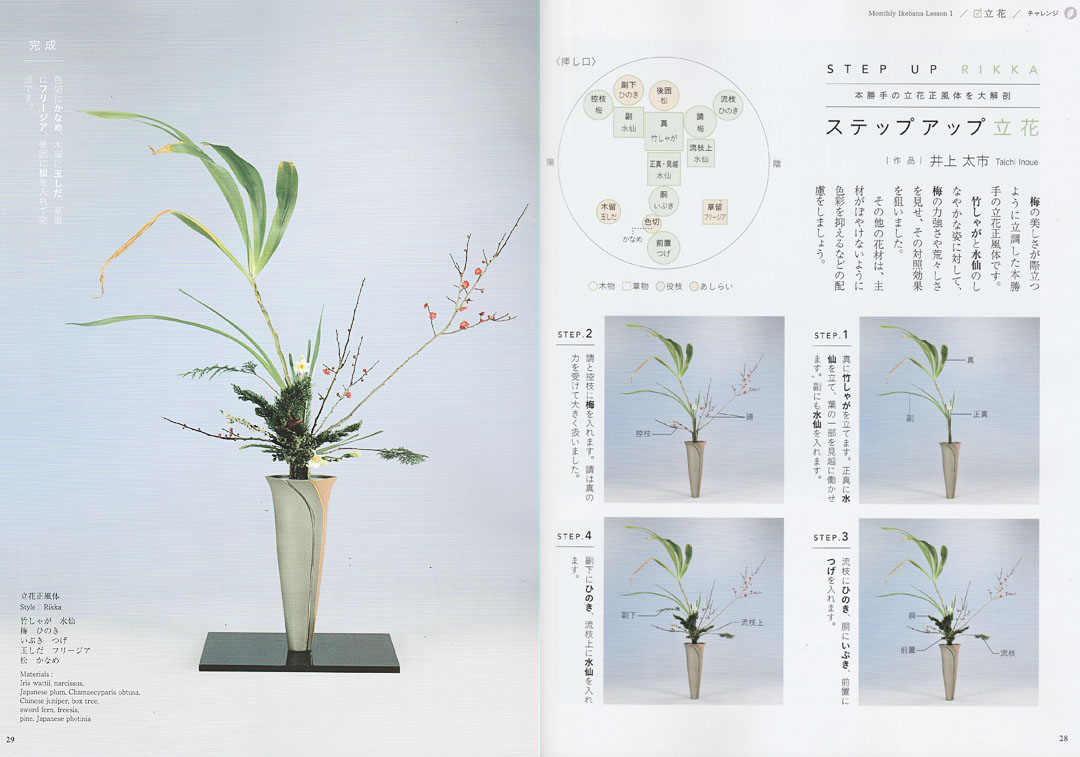 『ざ・いけのぼう』2019年1月号