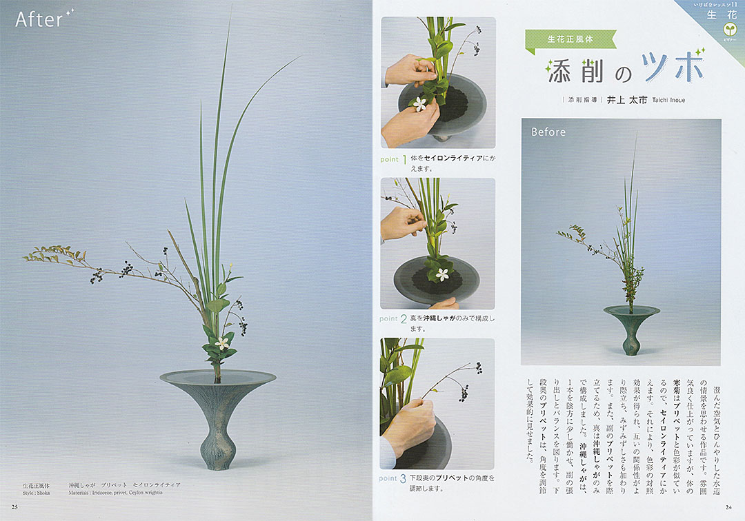 『ざ・いけのぼう』2018年11月号