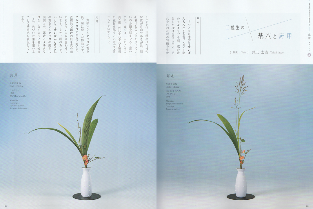 『ざ・いけのぼう』2020年10月号