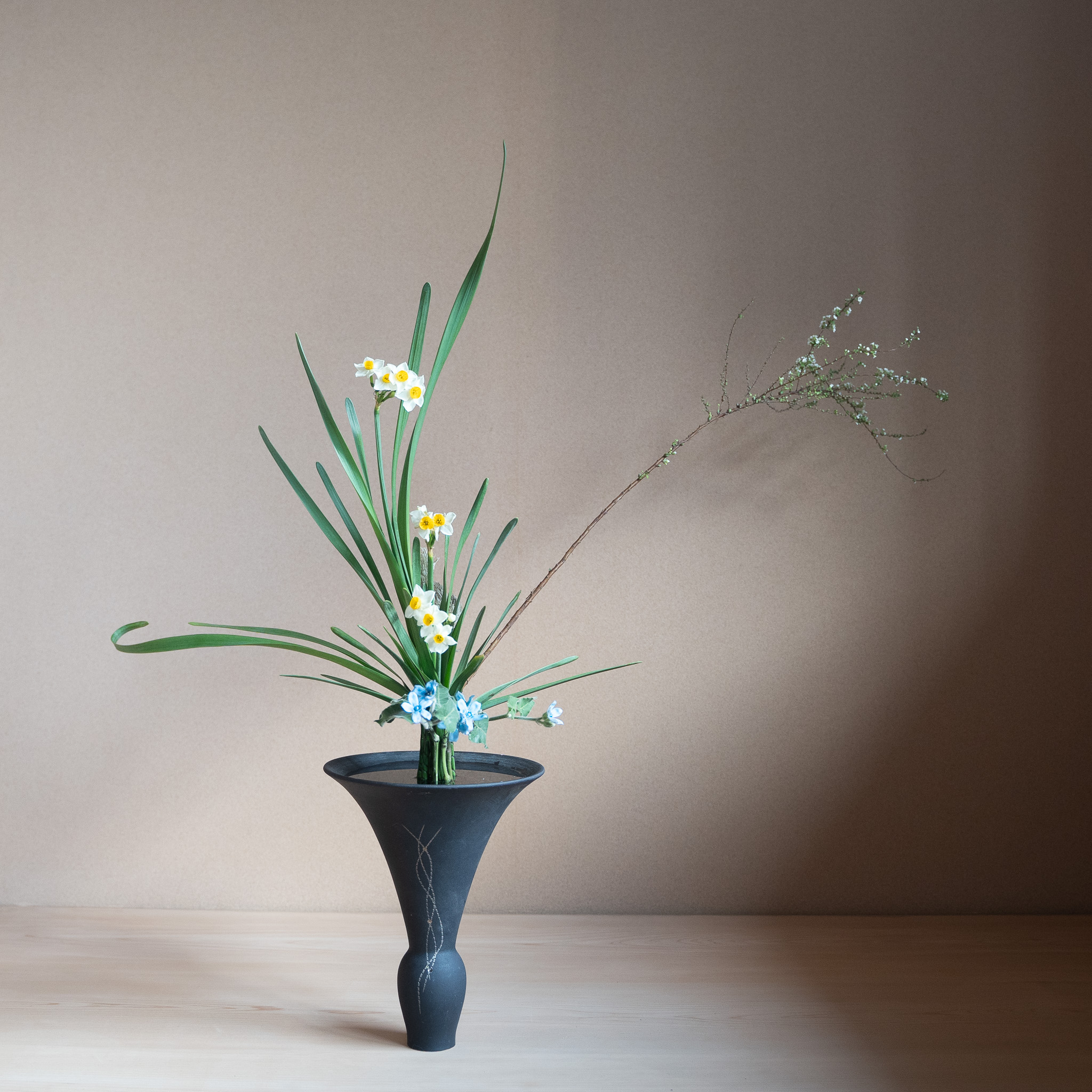 立花正風体
水仙、雪柳、オキシペタラム、ウーリーブッシュ