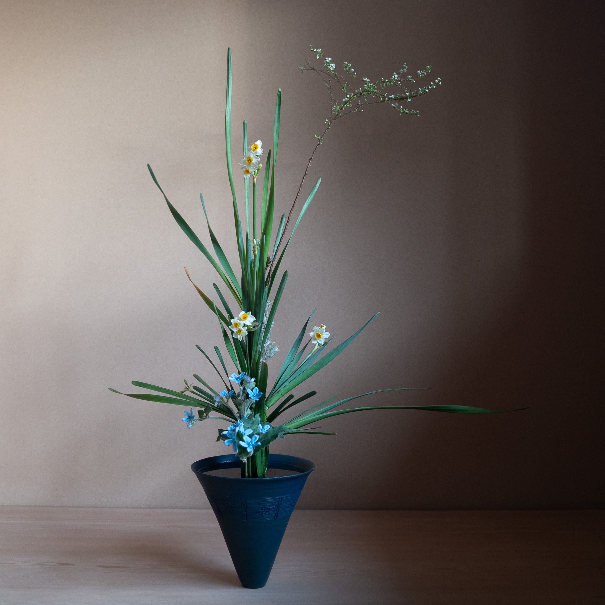 立花正風体
水仙、雪柳、オキシペタラム、ウーリーブッシュ