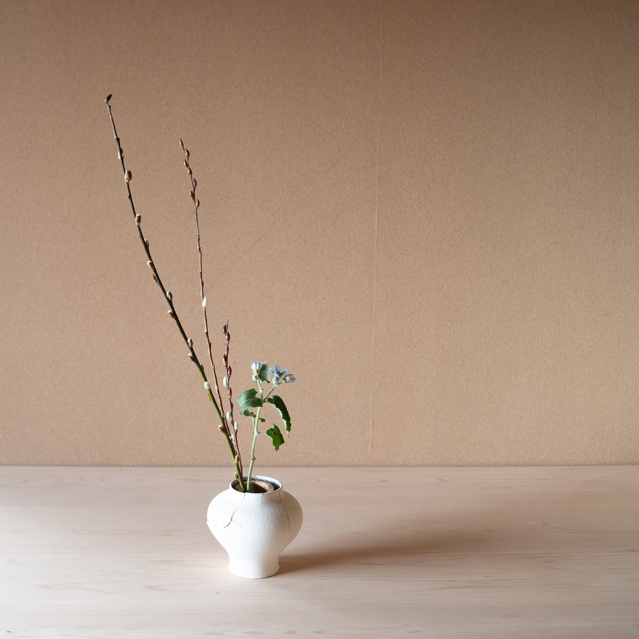 オキシペタラム