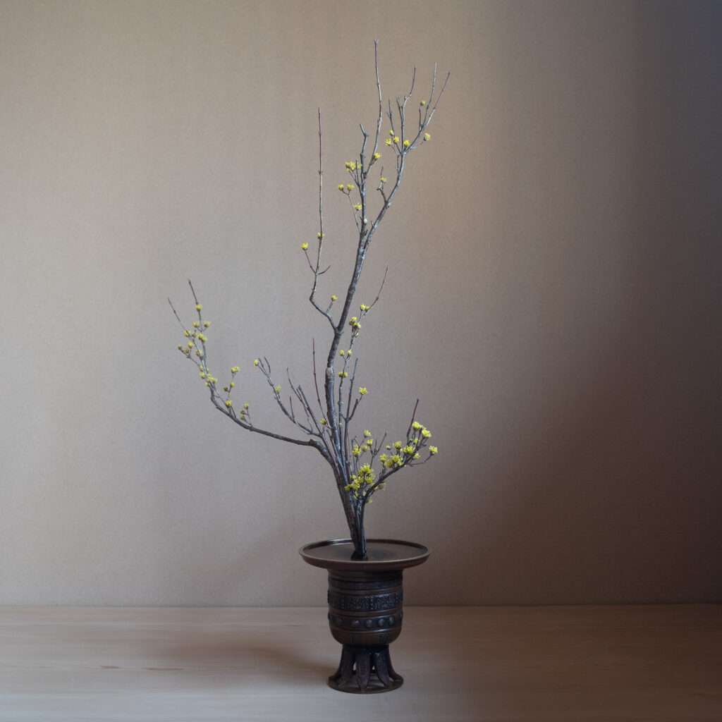 生花正風体
山茱萸