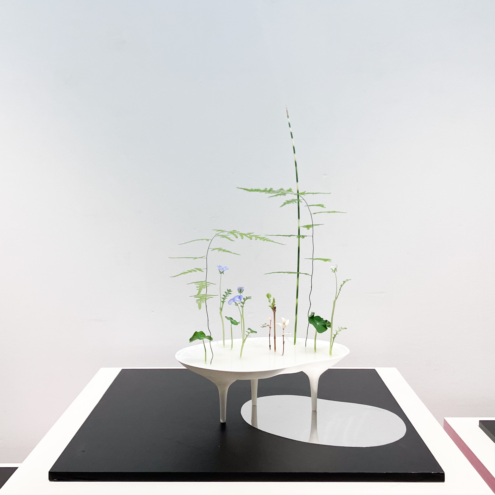 第93回池坊東京連合支部いけばな池坊展