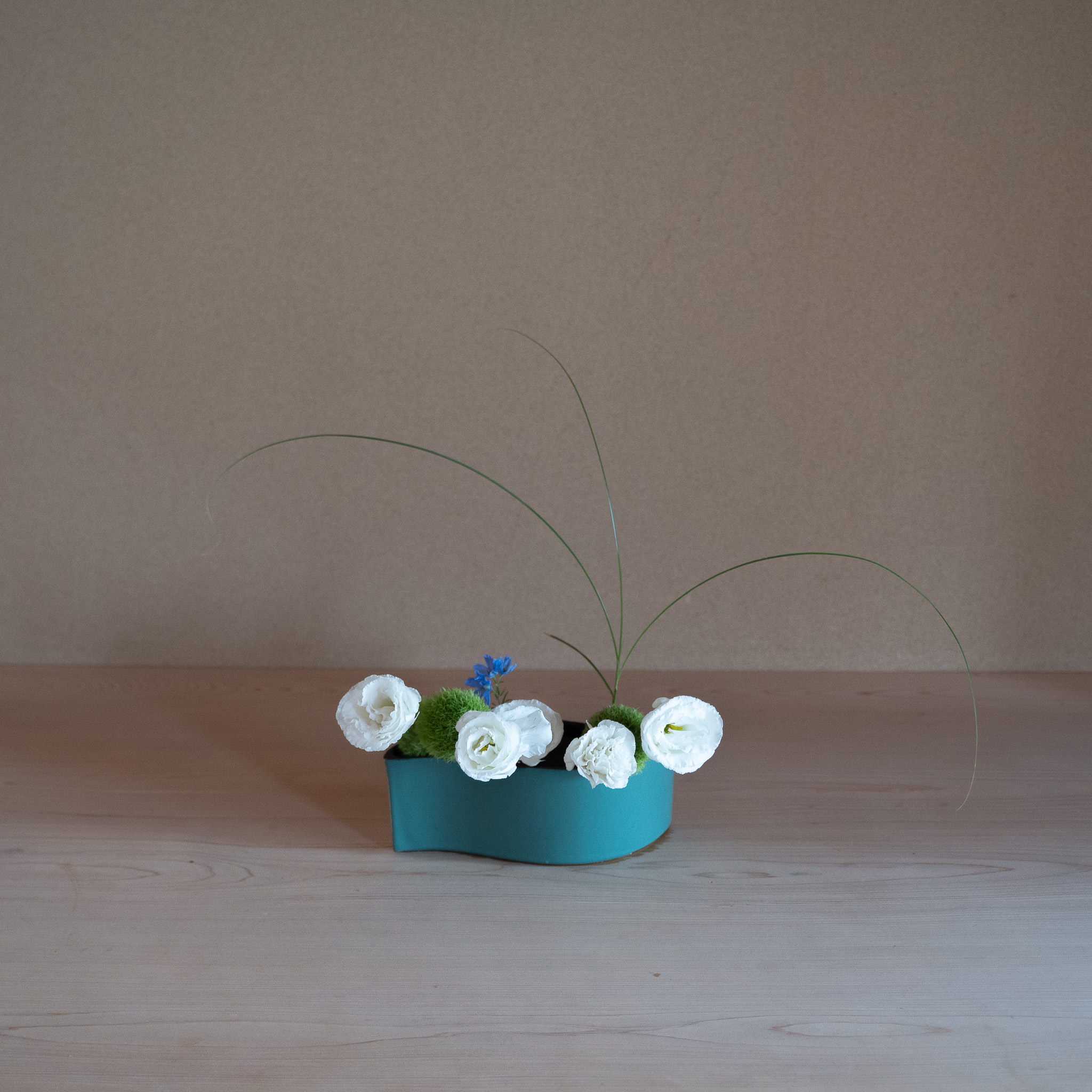 トルコ桔梗の自由花