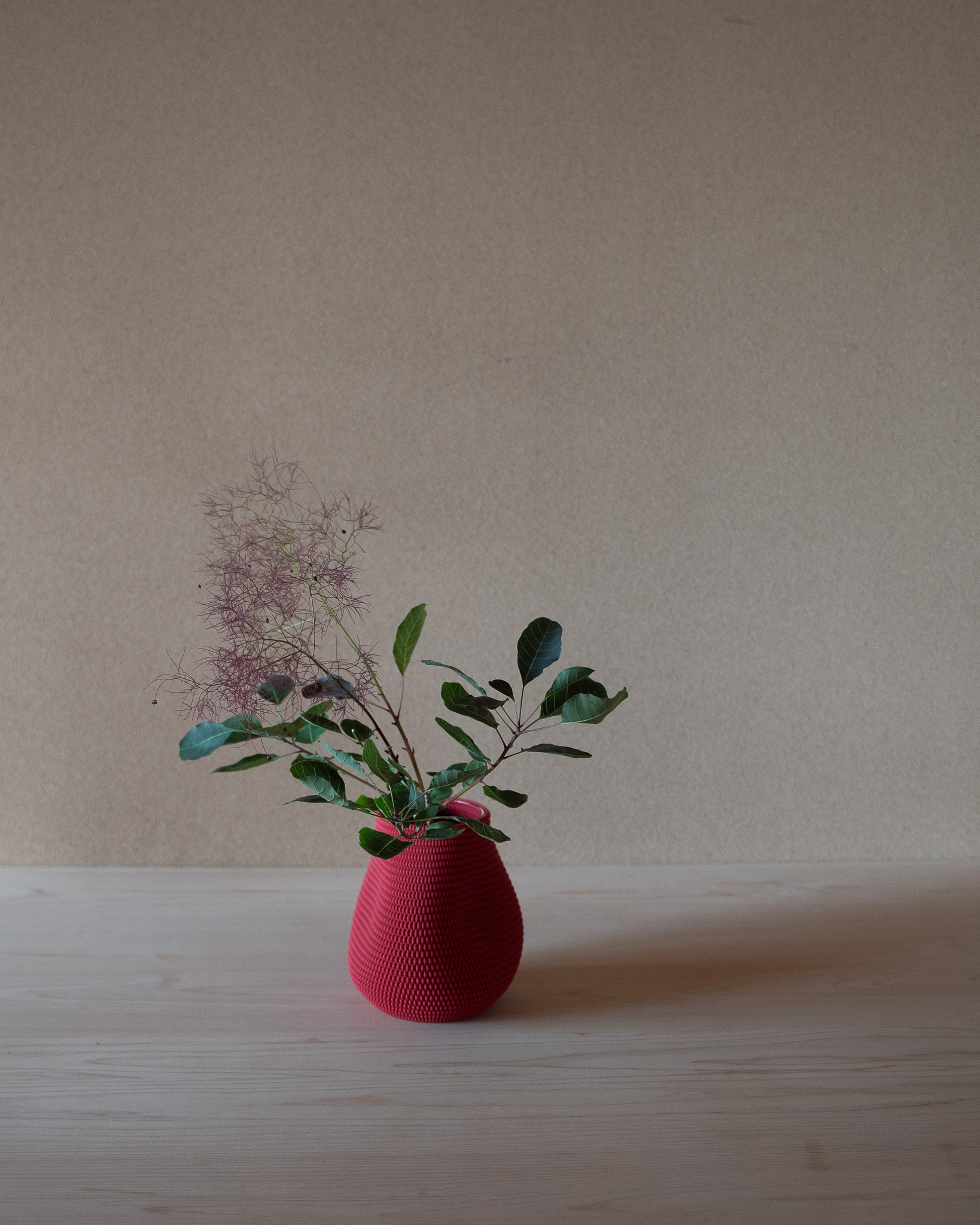 けむり草の抛入