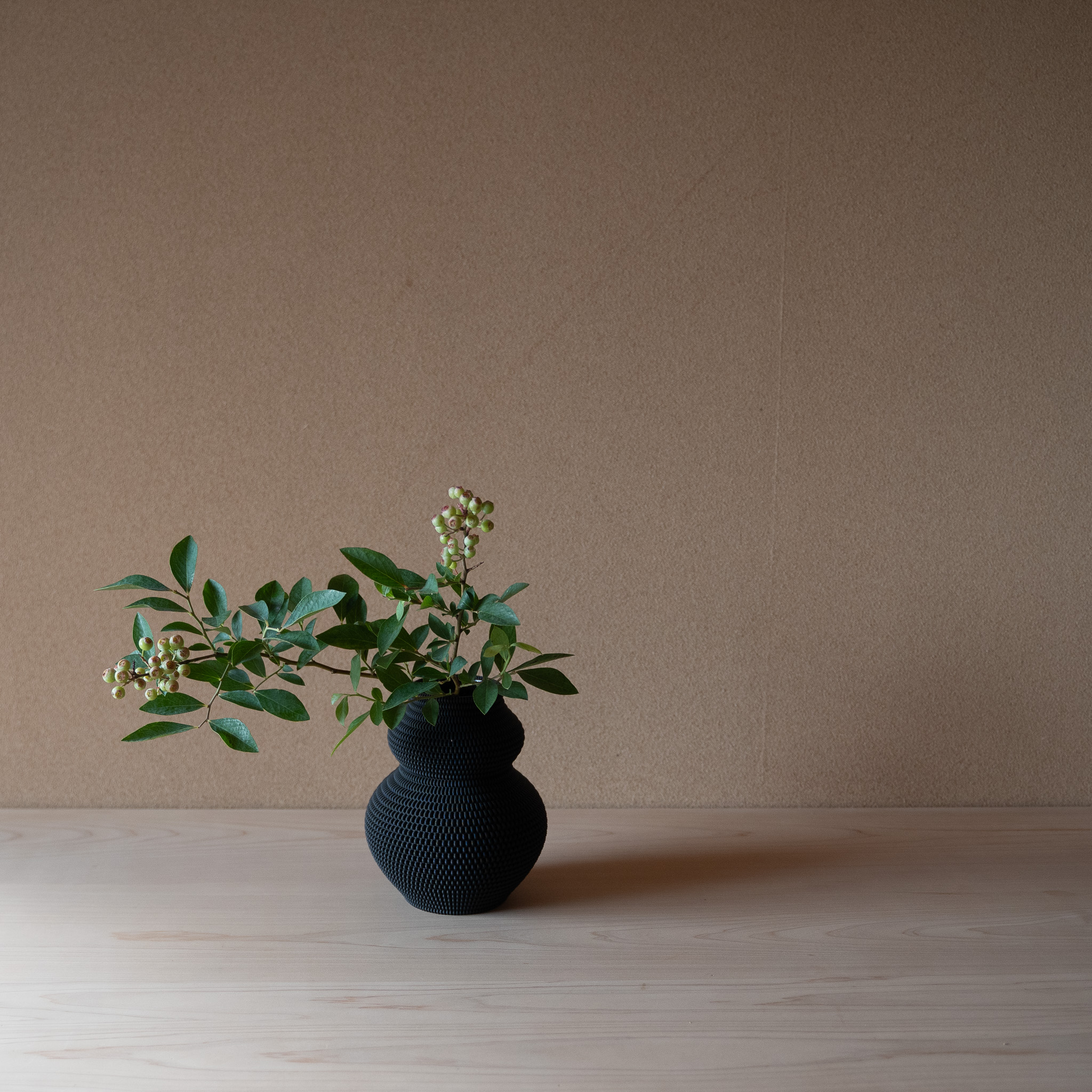 ブルーベリーの抛入花