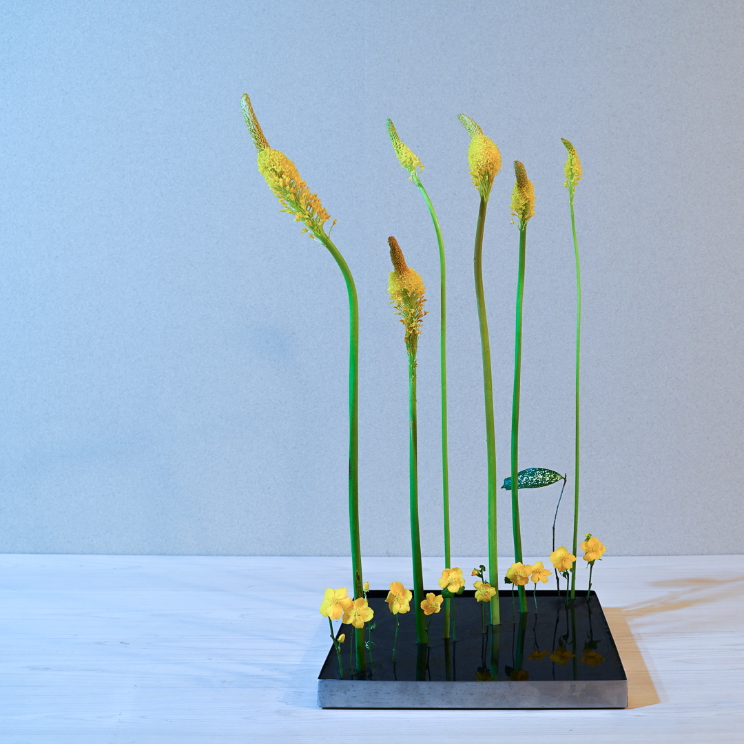 繰り返しの面白さ