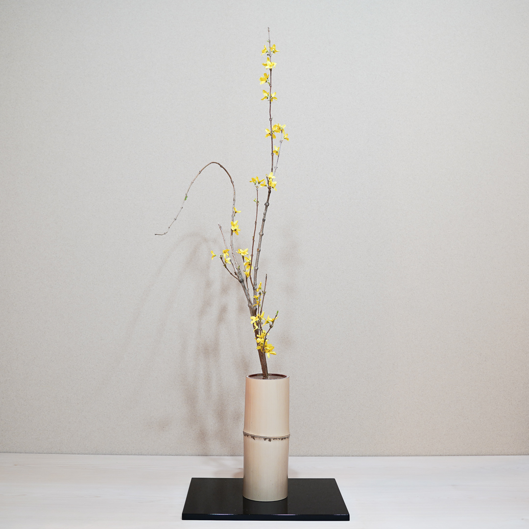 連翹は垂れもの