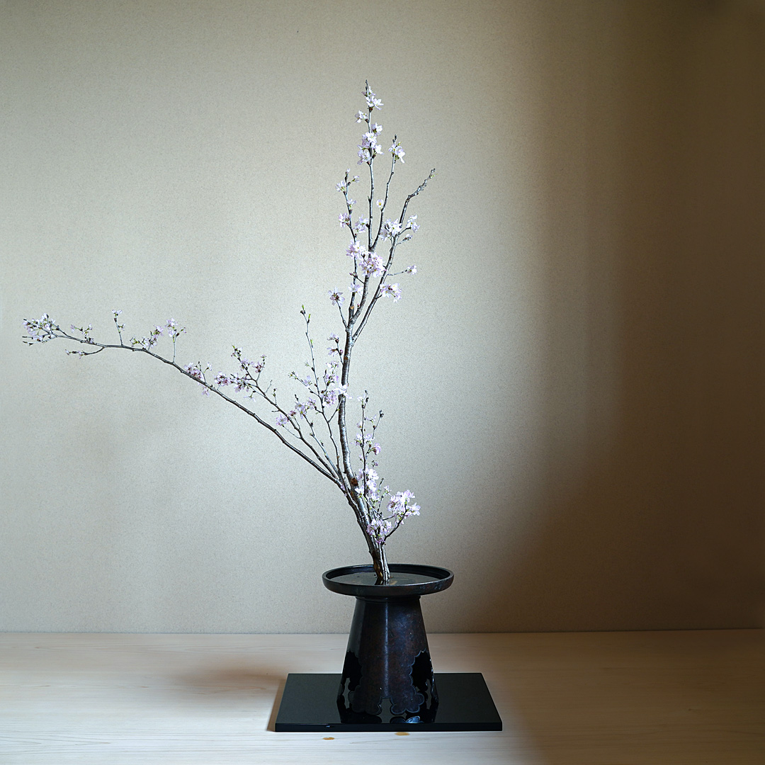 一足先にお花見