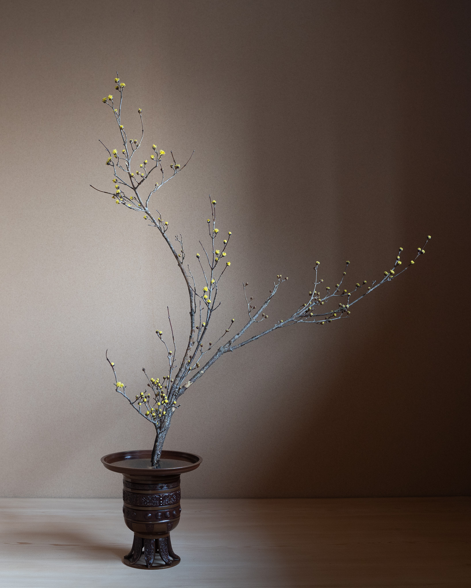 2025年1月の太市会