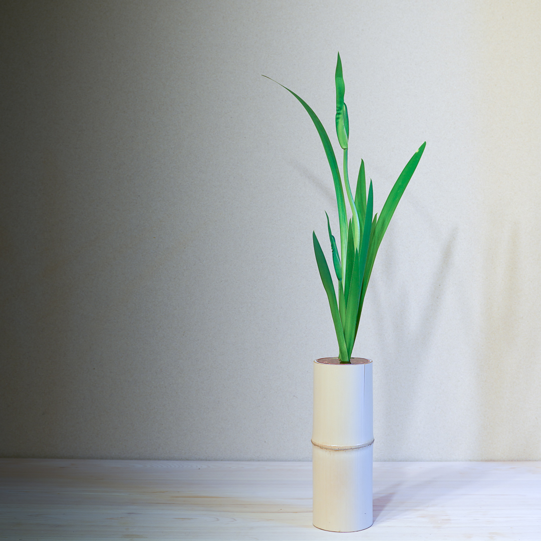 燕子花の季節がやってきた