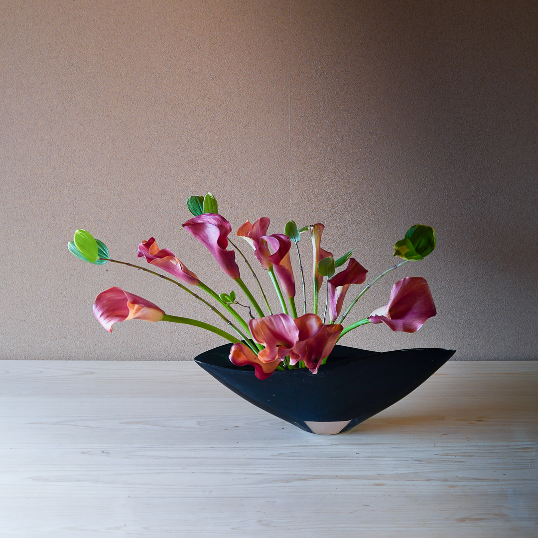 カラーが踊っている