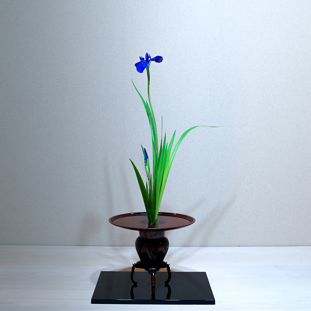 東京花展へ向けて特訓