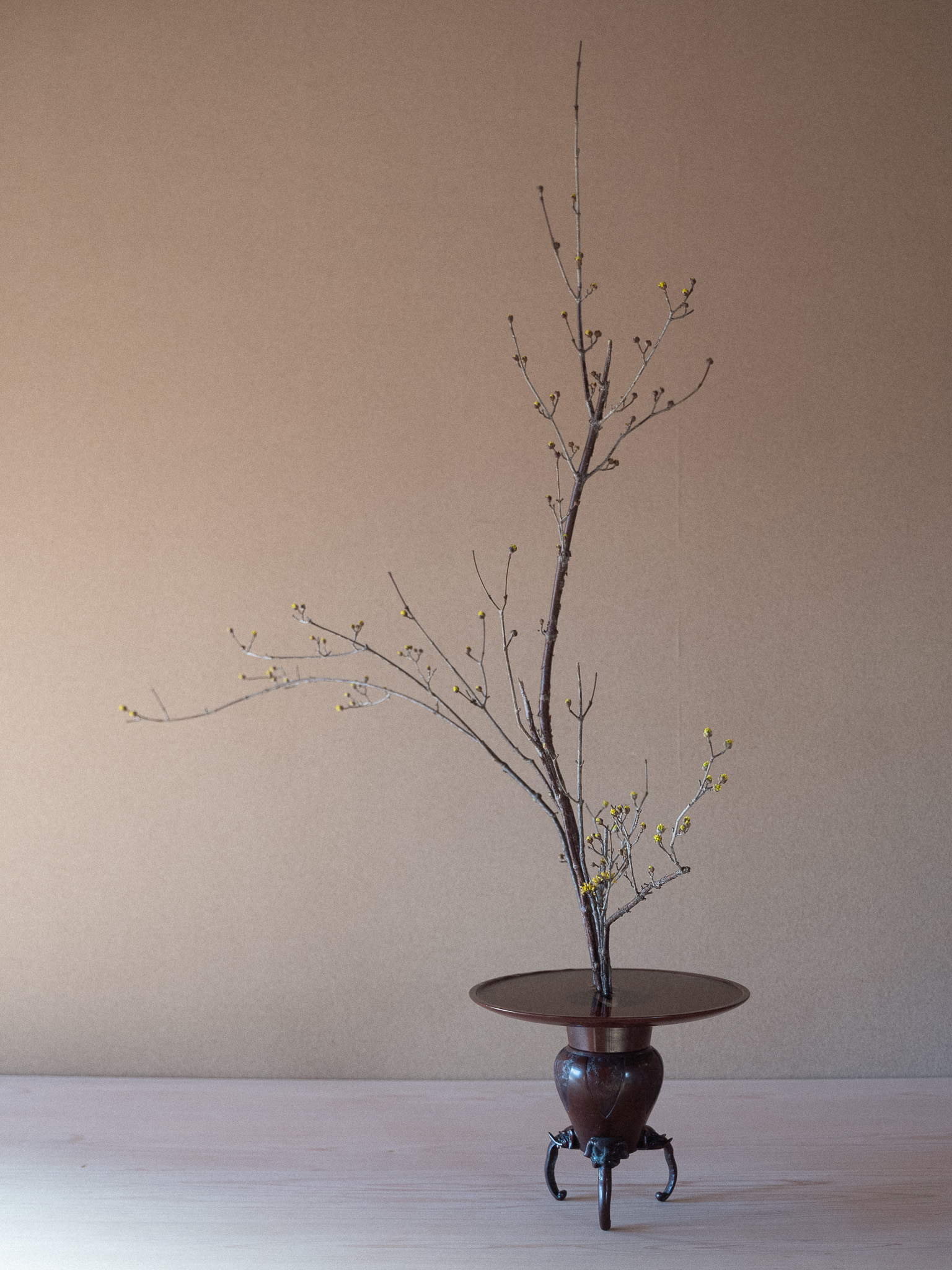 2025年2月の太市会