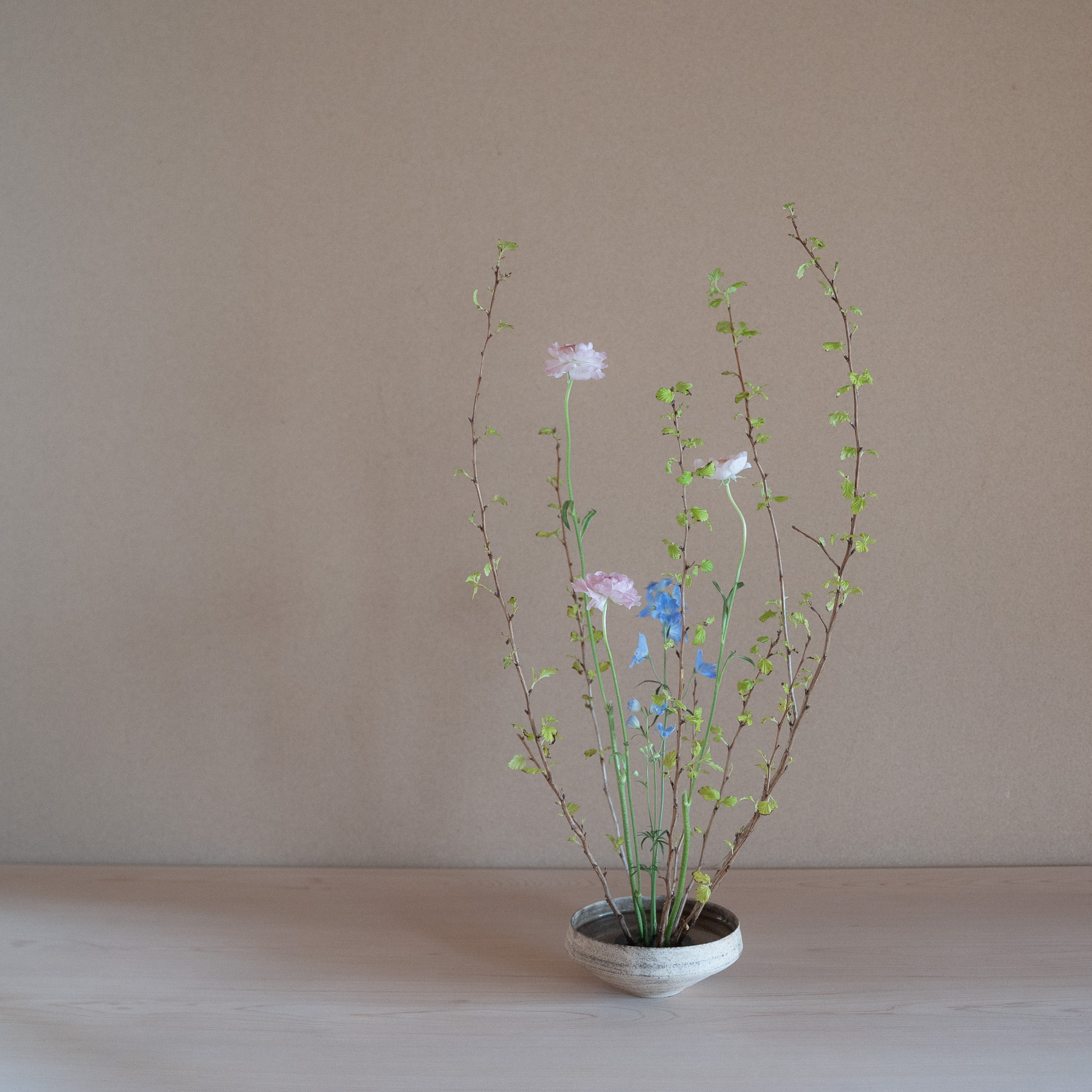 黄葉手鞠　自由花