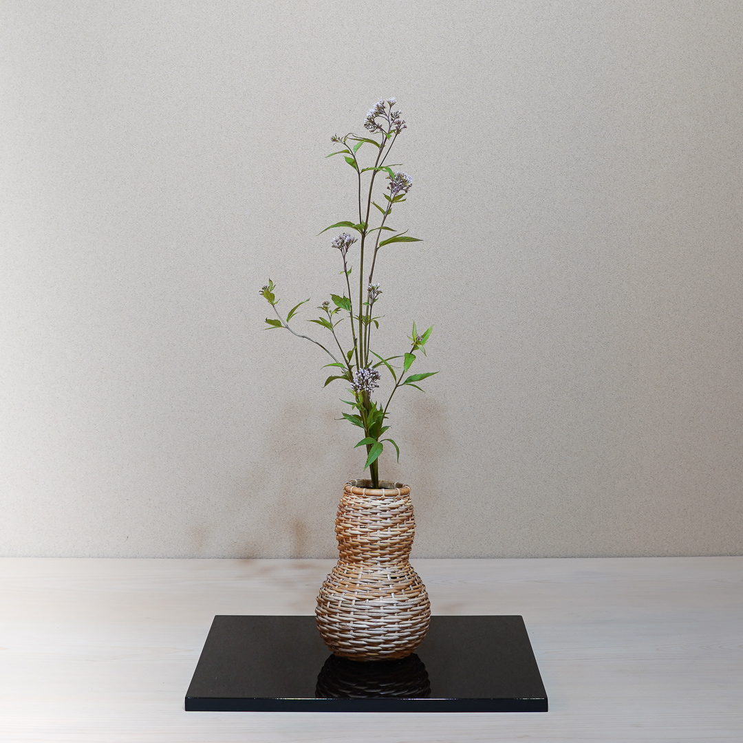 藤袴は秋の七草の1つ