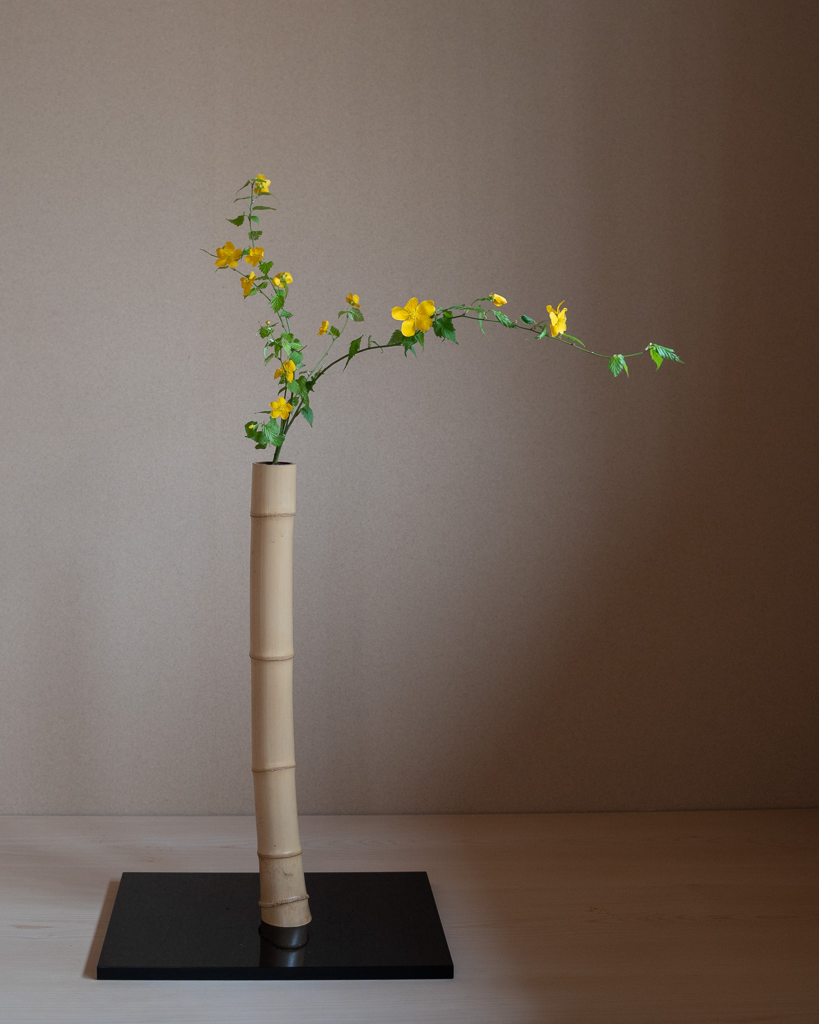 2022年4月の太市会