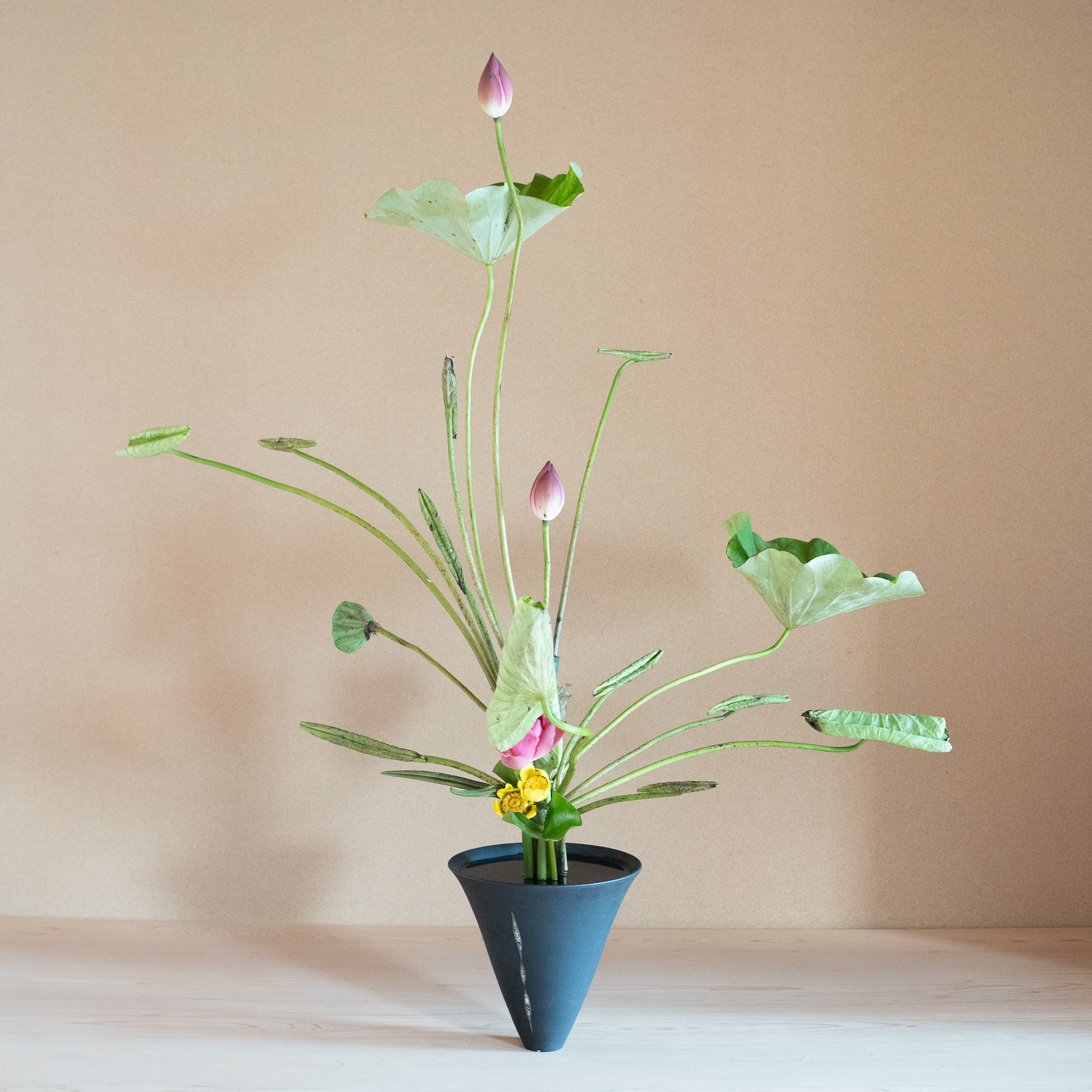 2025年8月の太市会