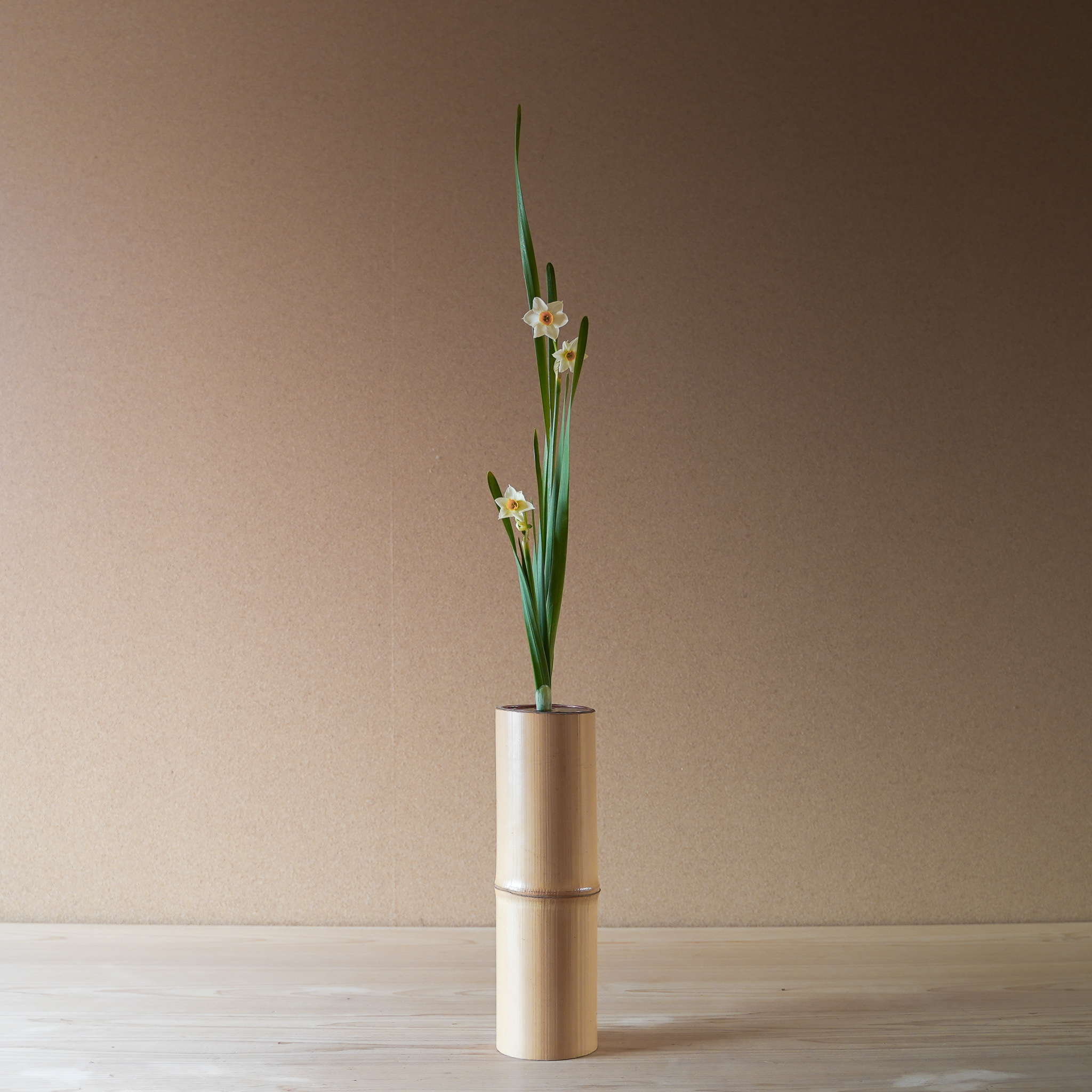 水仙の葉は右回りにねじれている