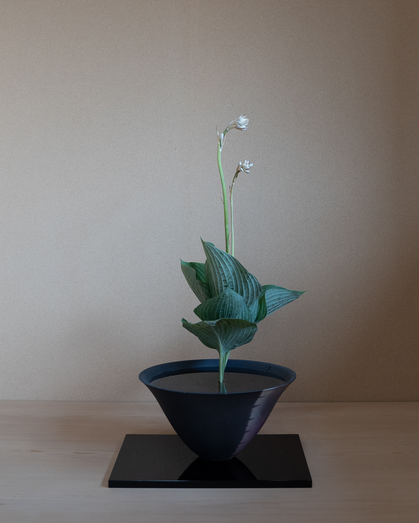 真副の間遠き花