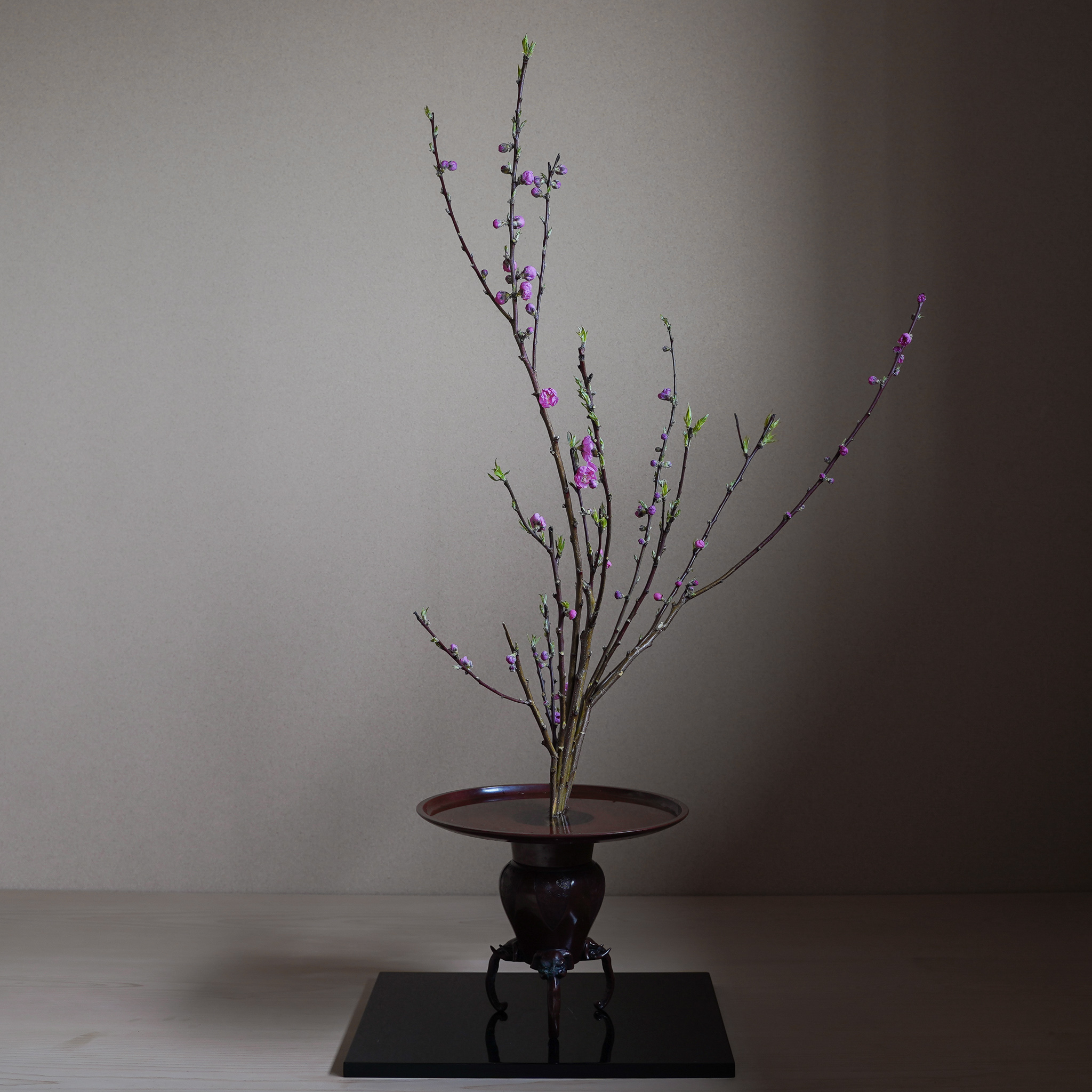 上巳の節句に桃を生ける