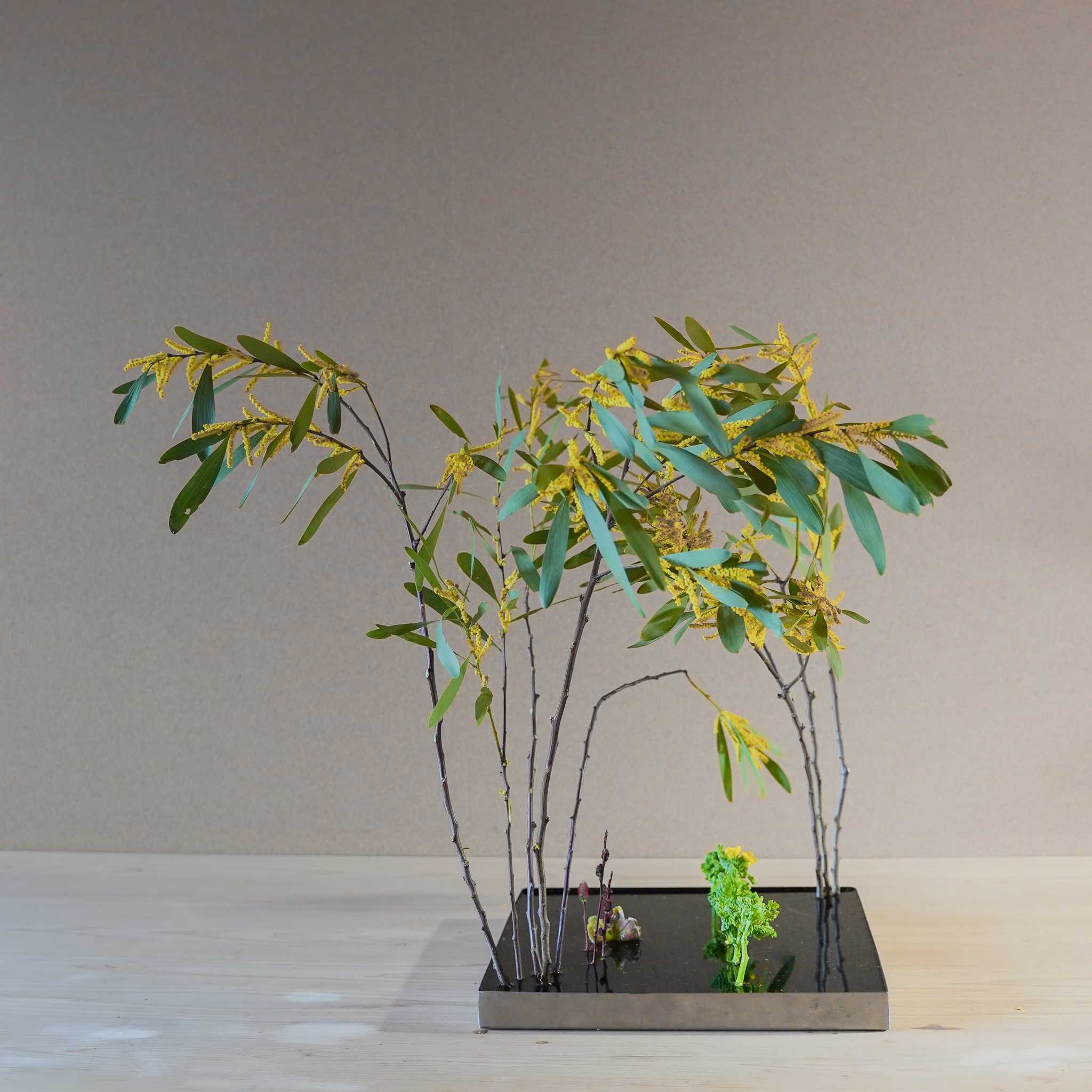 春のうららかな空気