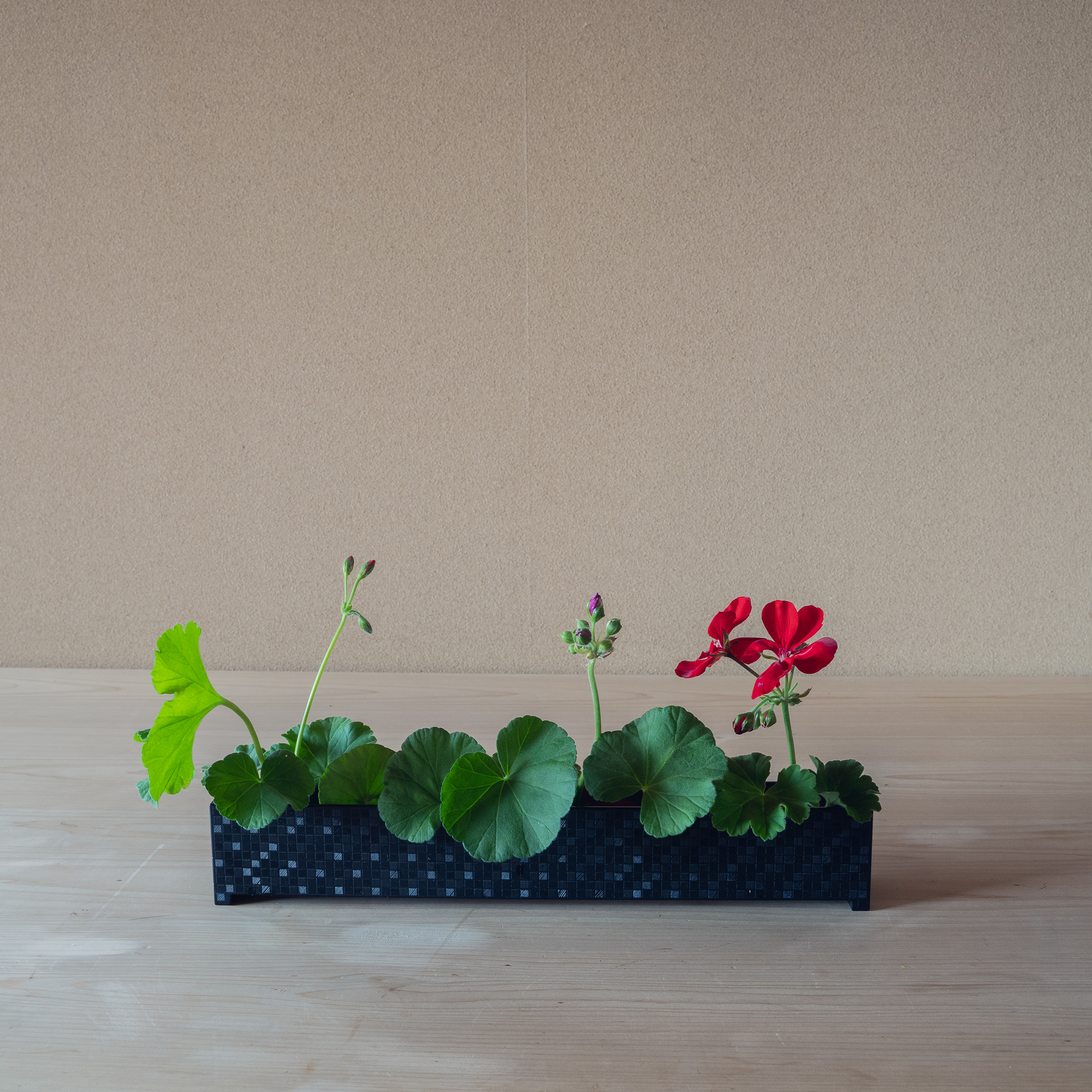 ありのままではない