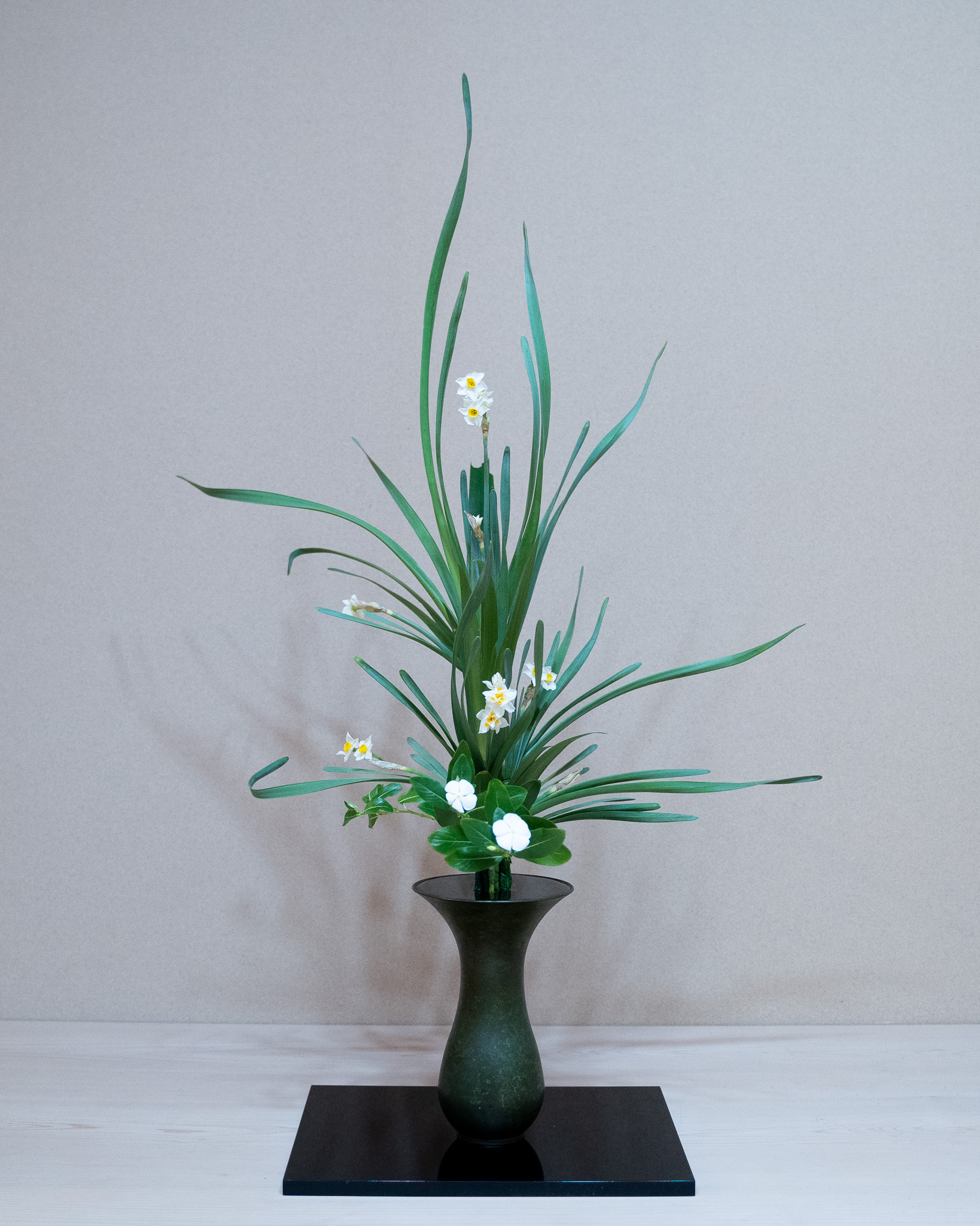 水仙のさまざまな姿