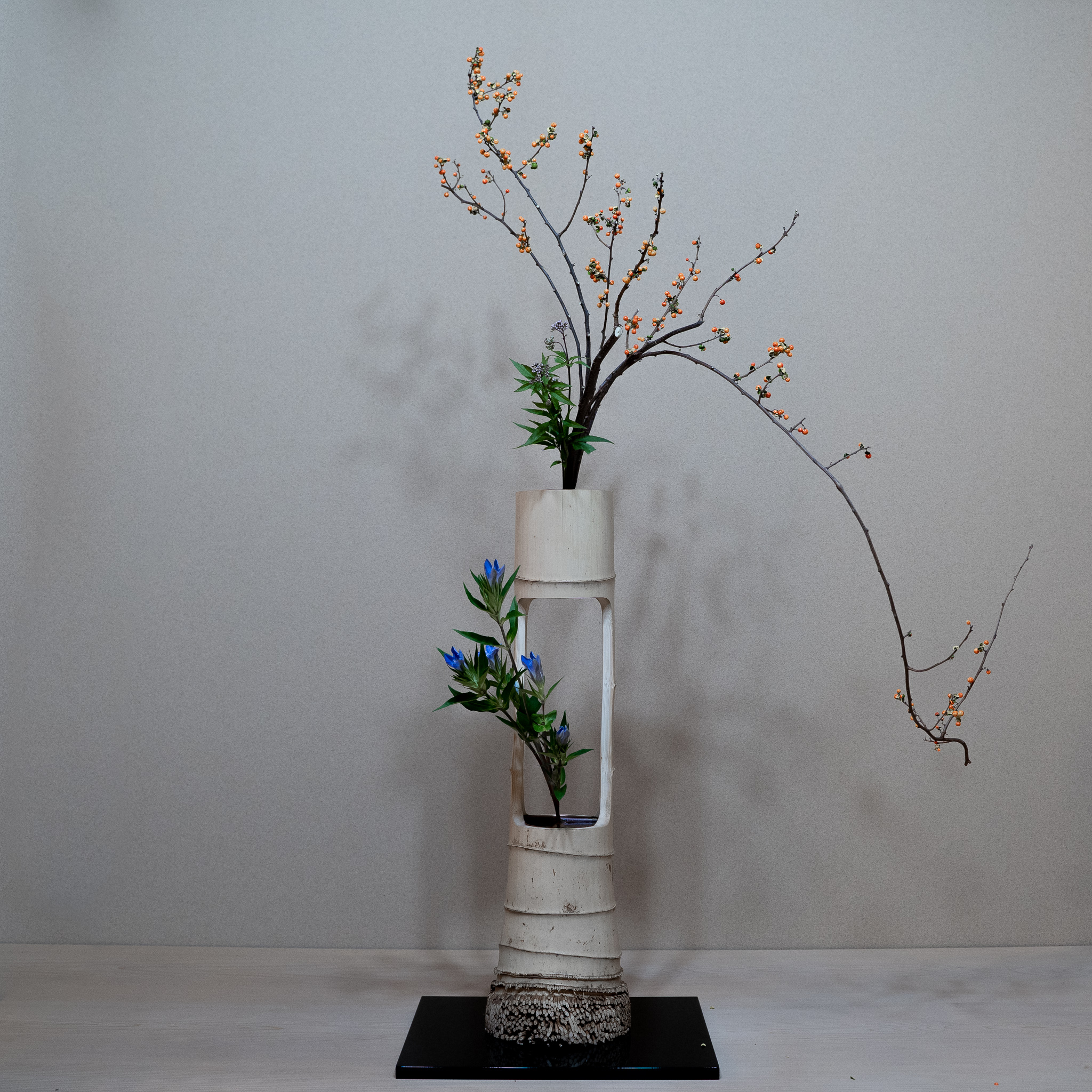 つるうめもどきの垂れる姿