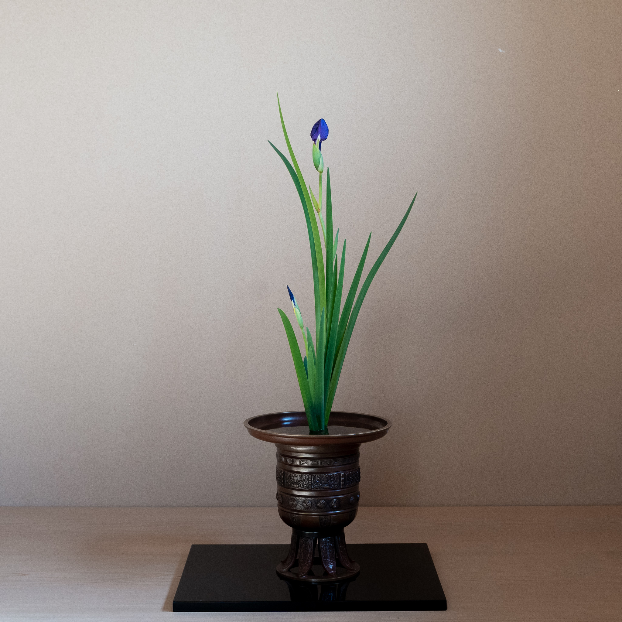 みんな大好き燕子花