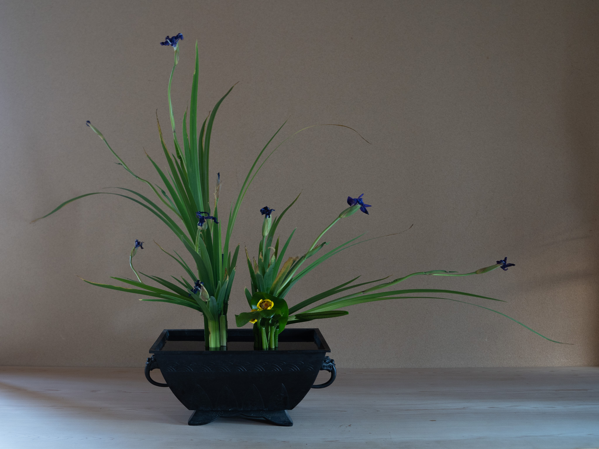 2023年8月の太市会