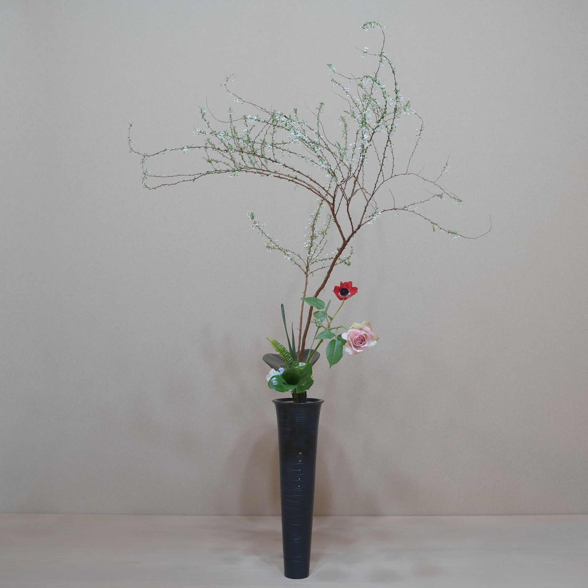 ばらと雪柳の出会い