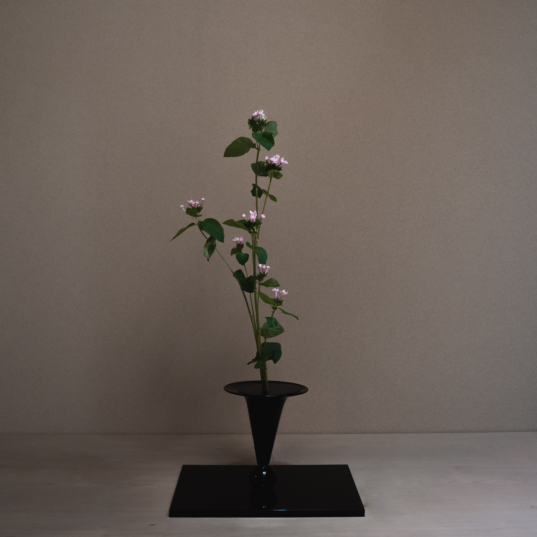 新しい花を伝統的な様式でいかす