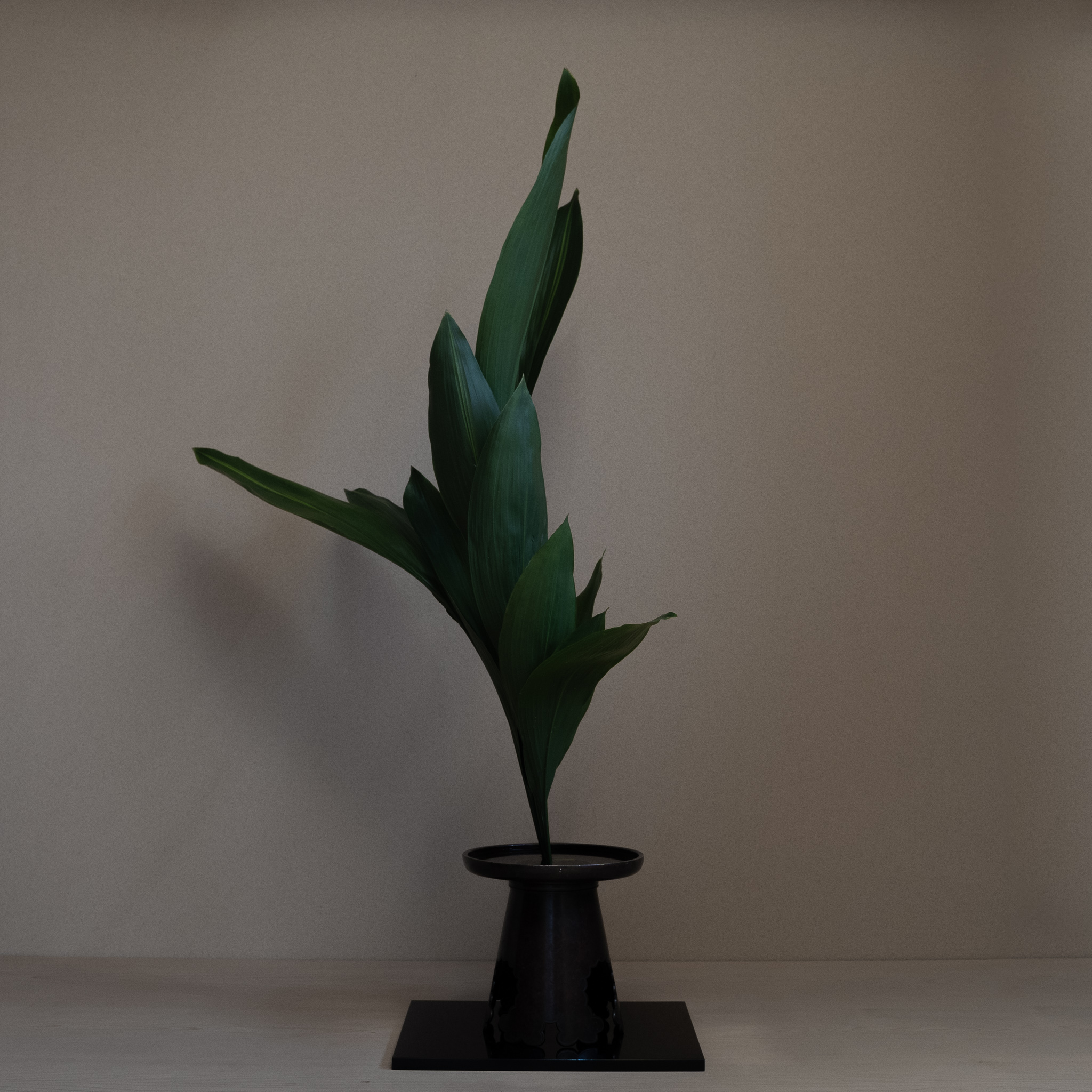 基礎トレーニング