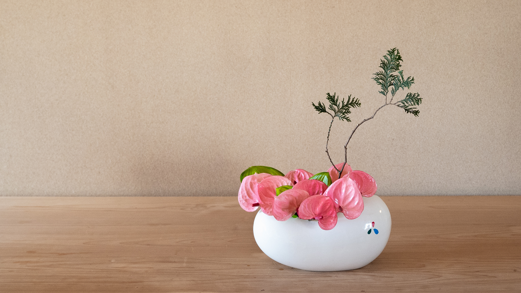 アンスリウムの顔に注目