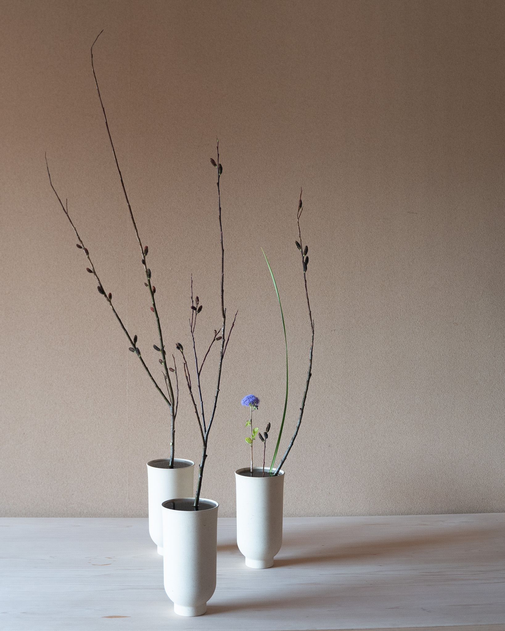 黒芽柳とアゲラタム