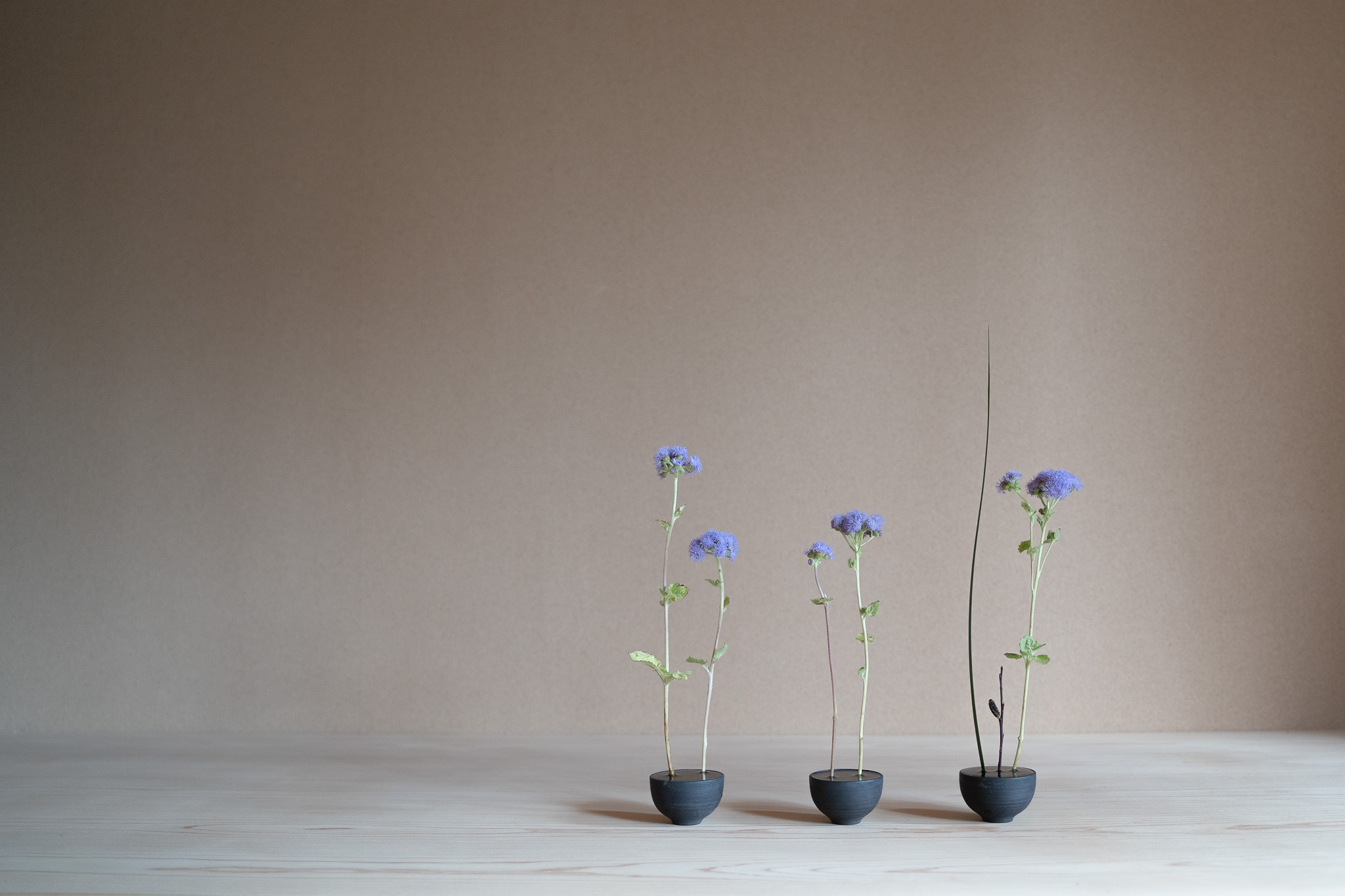 『ざ・いけのぼう』2025年3月号