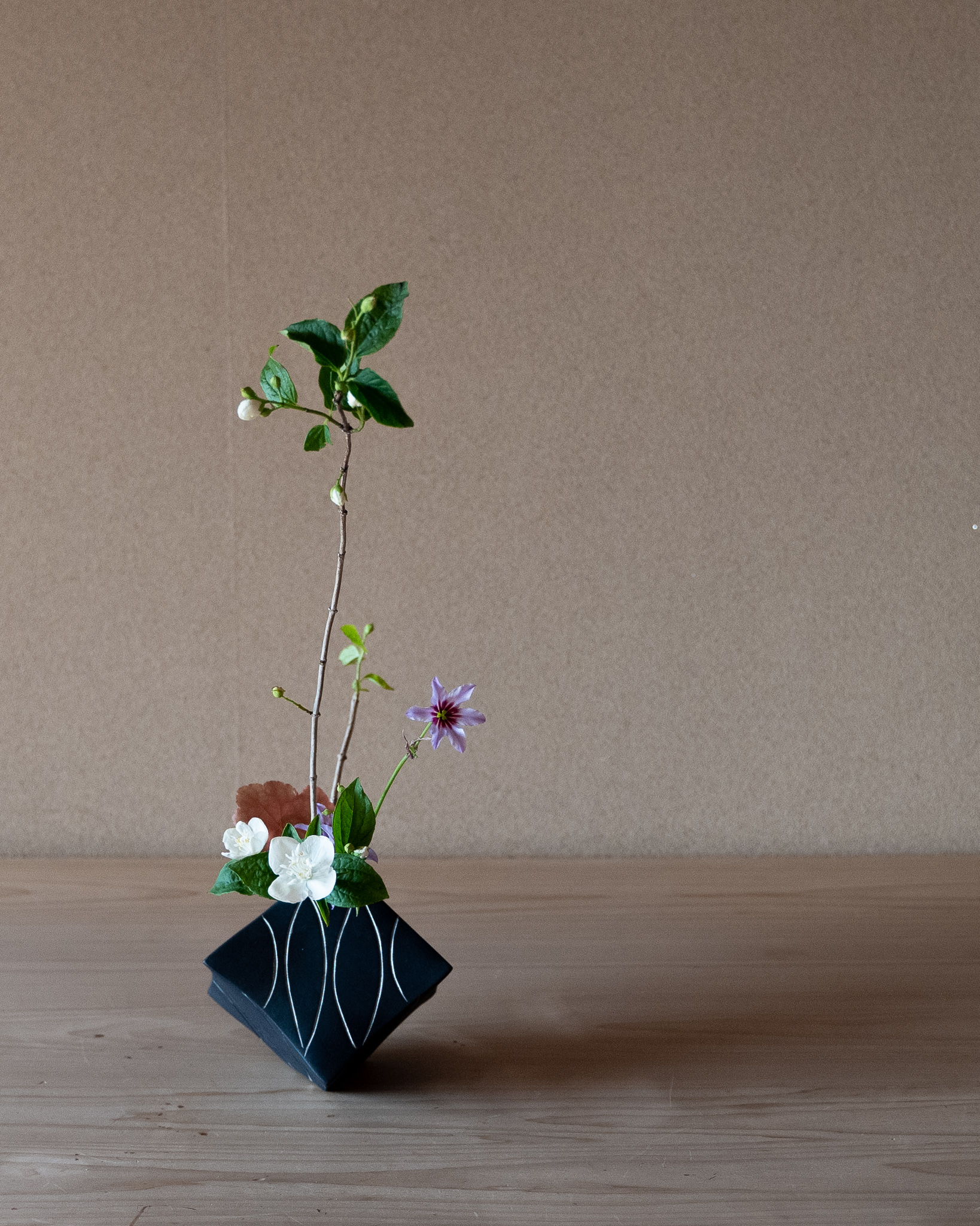 梅花空木の様々な表情