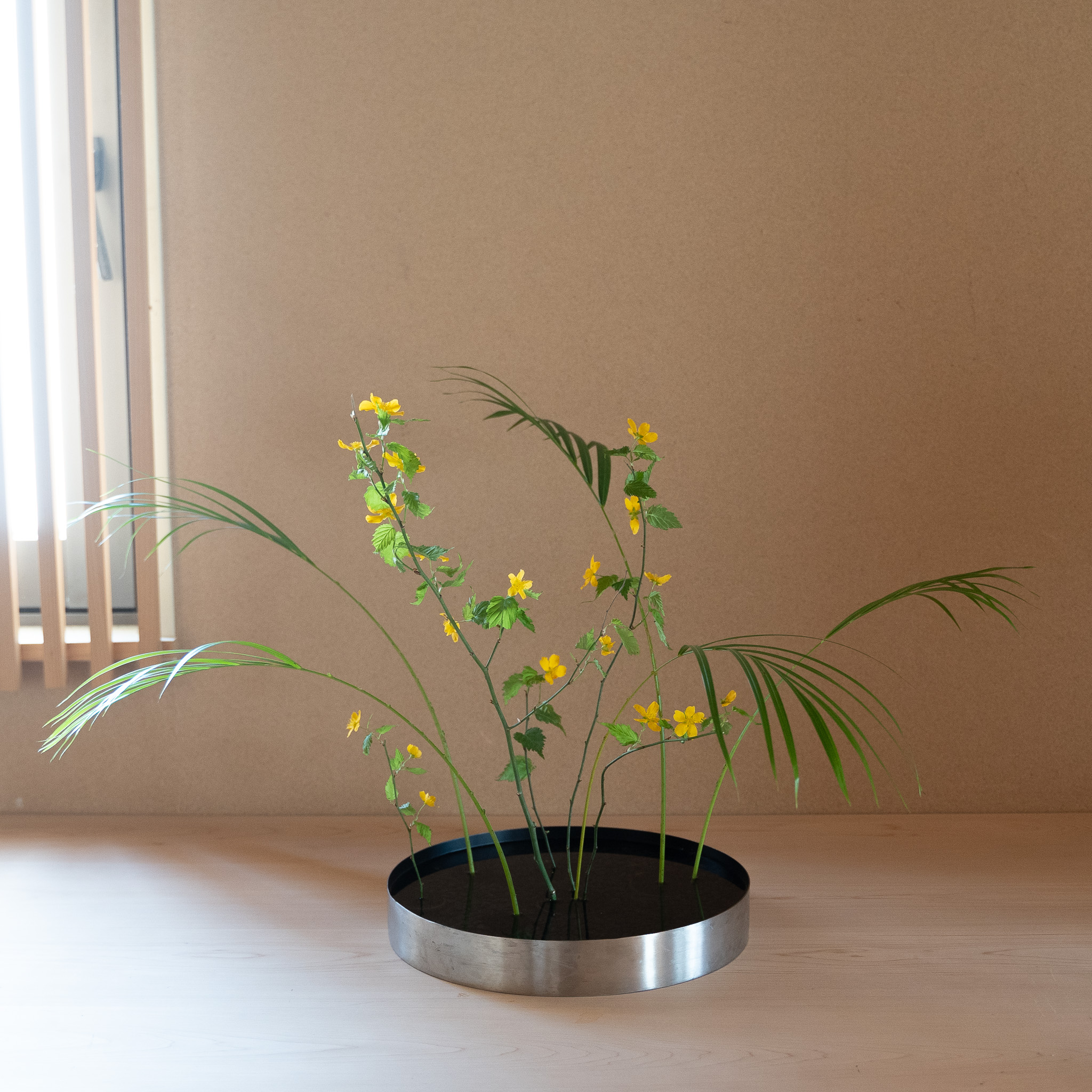 アレカヤシと山吹