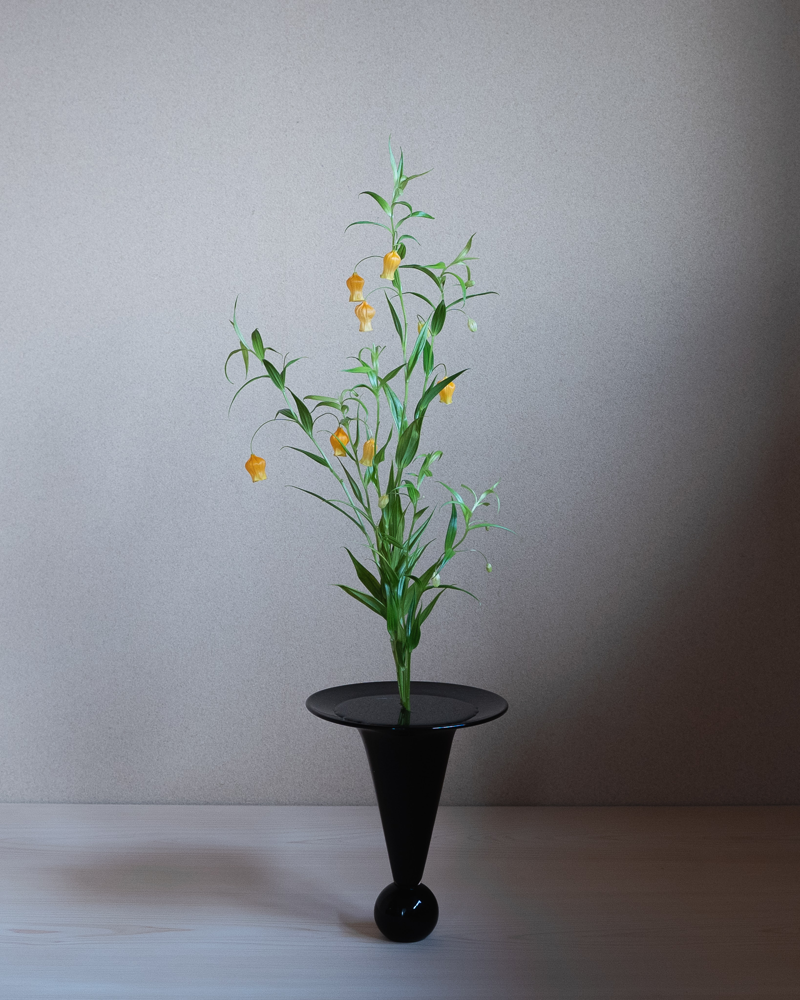 サンダーソニアの可憐な姿