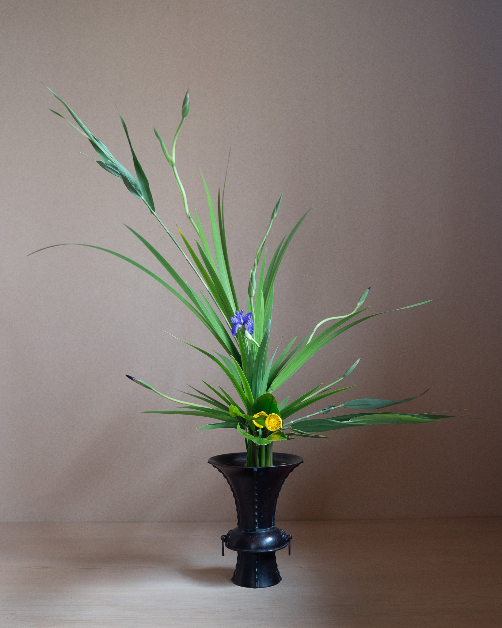 2024年6月の太市会