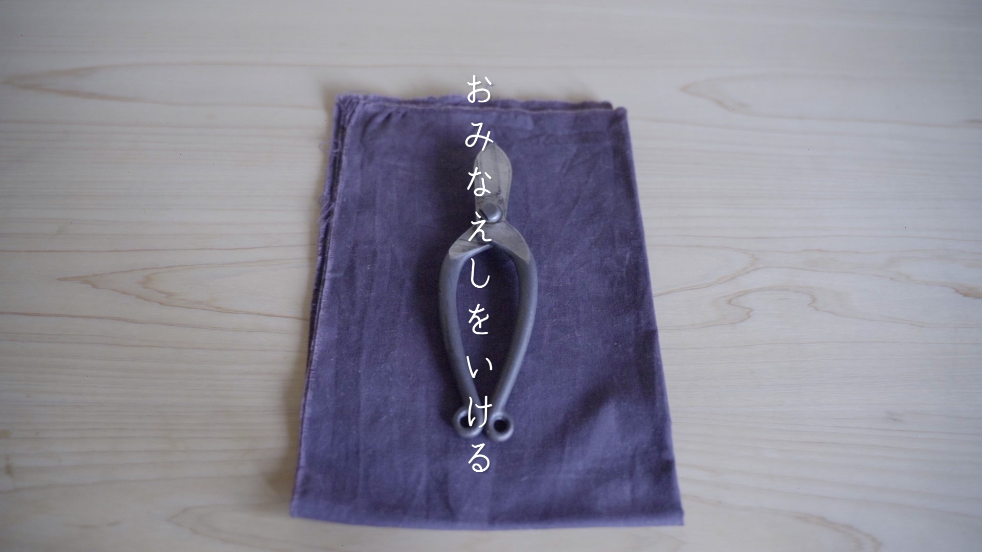 秋の七種の一つおみなえしをいける