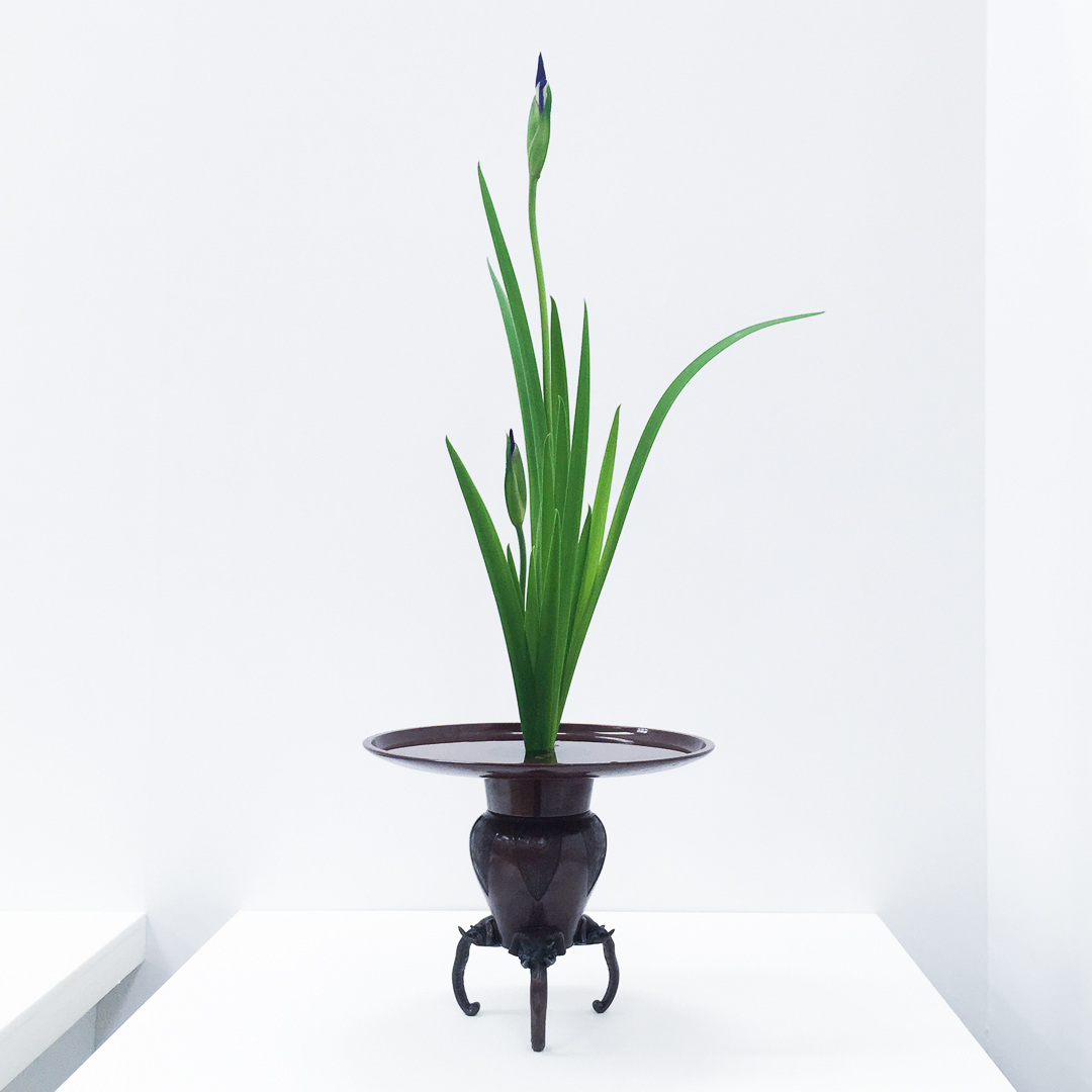 2019年いけばなの根源池坊展東京花展
