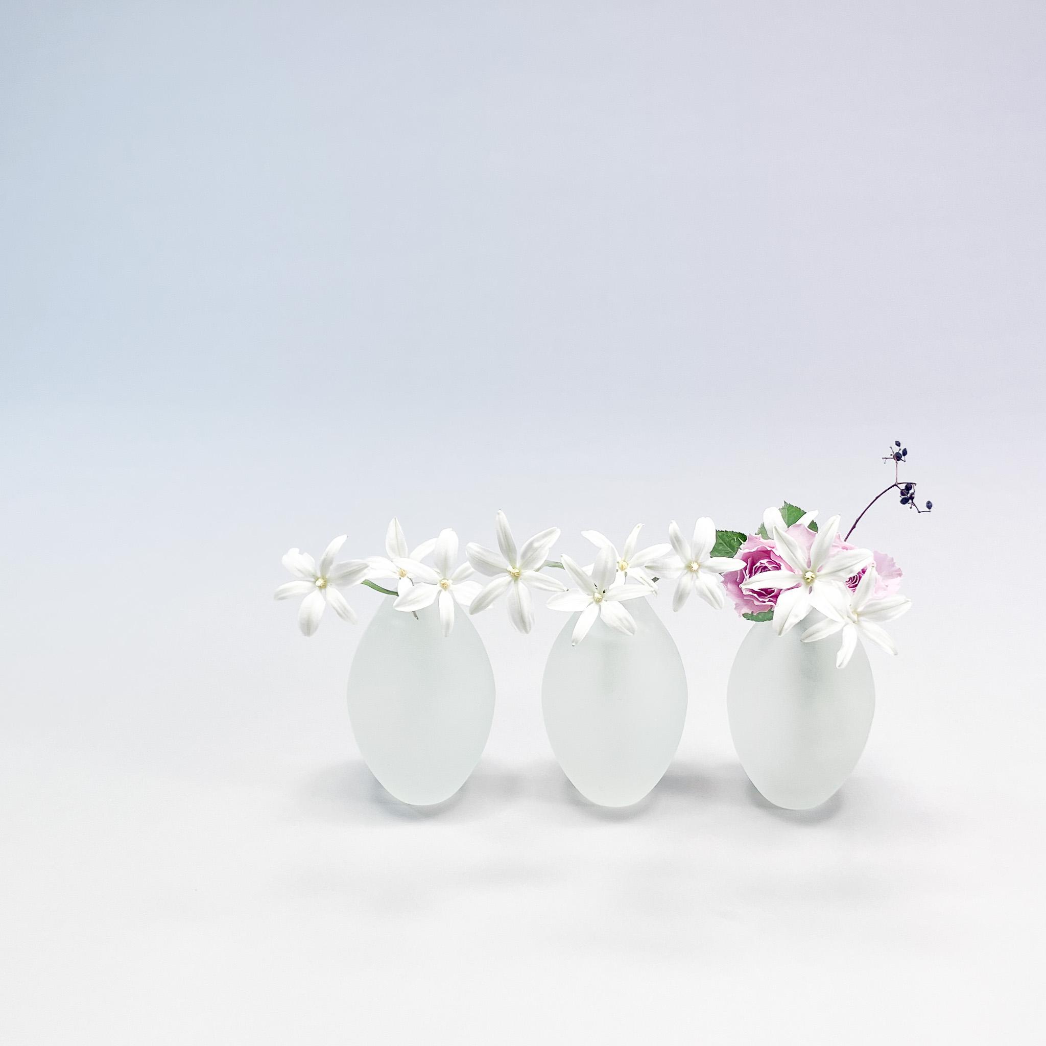 『ざ・いけのぼう』2025年12月号